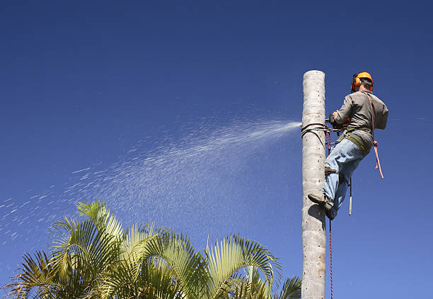 istockphoto-106413391-612x612